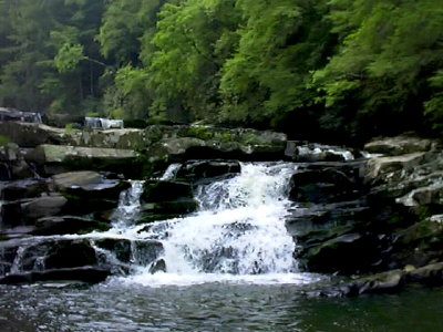 View of One of the Coker Creek Falls