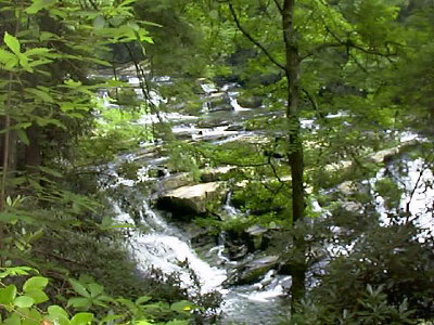 View of Coker Creek Falls from above